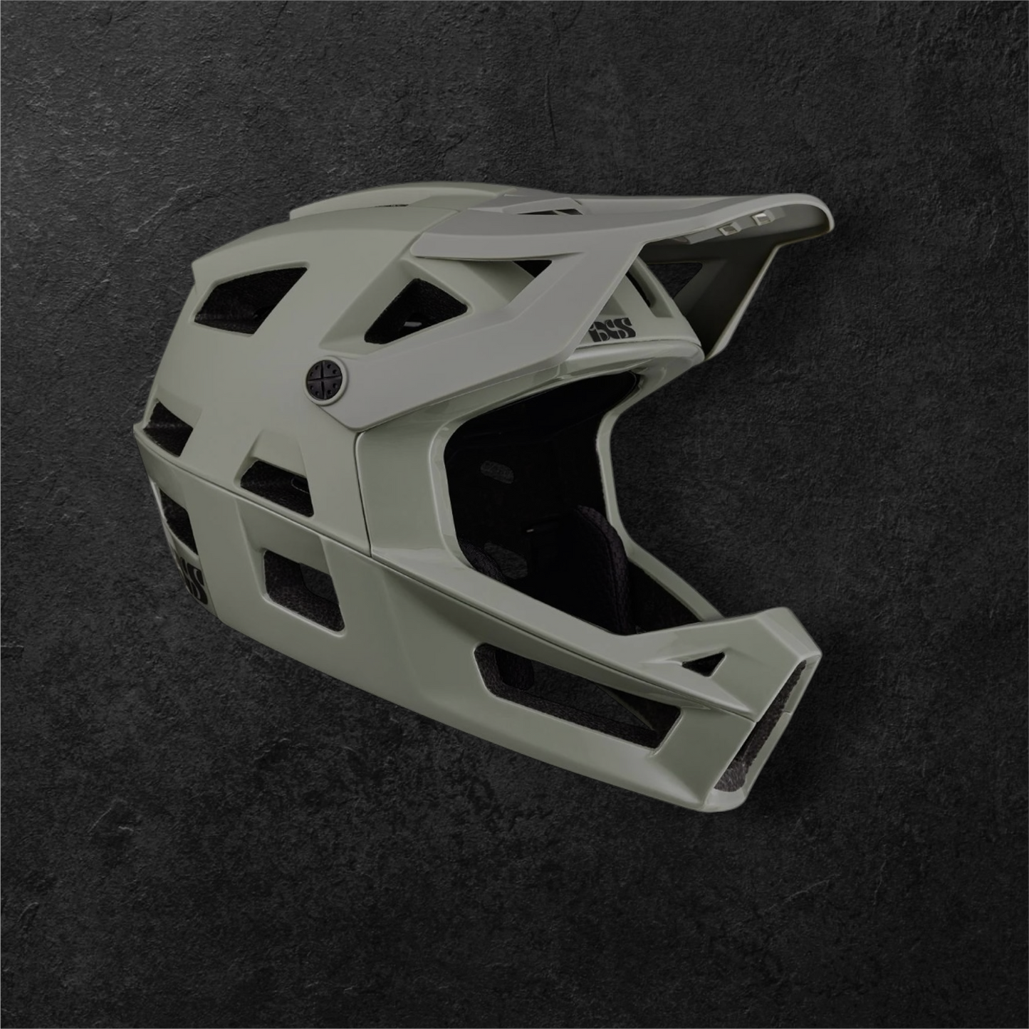 IXS Trigger FF MOUNT